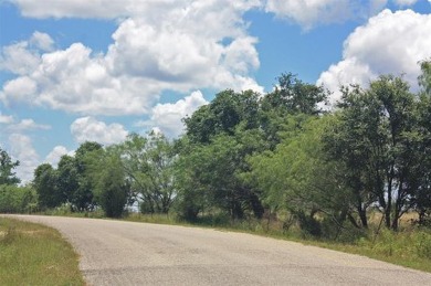 DEVELOPER NEEDED for this PLAT-APPROVED subdivision in Somervell on Squaw Valley Golf Course in Texas - for sale on GolfHomes.com, golf home, golf lot