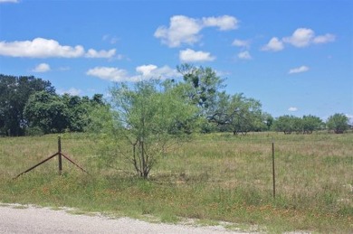 DEVELOPER NEEDED for this PLAT-APPROVED subdivision in Somervell on Squaw Valley Golf Course in Texas - for sale on GolfHomes.com, golf home, golf lot