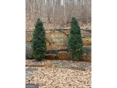 Follow your dreams to this exceptional mountain-view homesite in on Old Union Golf Course in Georgia - for sale on GolfHomes.com, golf home, golf lot