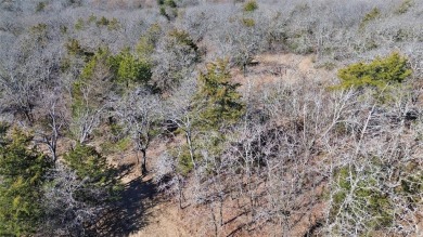 It is rare to find a small, heavily wooded property in the North on Turtle Hill Golf Course in Texas - for sale on GolfHomes.com, golf home, golf lot