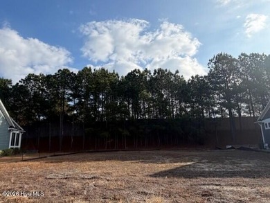 Build your dream home in the Cottages section of Compass Pointe! on Compass Pointe Golf Course in North Carolina - for sale on GolfHomes.com, golf home, golf lot