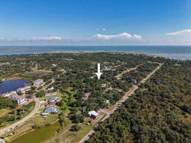 Lamar Peninsula Retreat under Majestic Coastal Oaks.  Nestled on Lamar Golf Course in Texas - for sale on GolfHomes.com, golf home, golf lot
