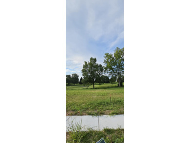 s: Golf course and Lake views AVAILABLE to purchase! Finally!! A on Highland Springs Country Club in Missouri - for sale on GolfHomes.com, golf home, golf lot