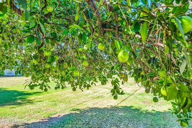 Thoughtfully designed floorplan in the heart of Sun City! This on Sun City South Golf Course in Arizona - for sale on GolfHomes.com, golf home, golf lot
