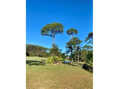 Rare opportunity to own one of the few remaining homesites in on Palmetto Hall Golf Course in South Carolina - for sale on GolfHomes.com, golf home, golf lot