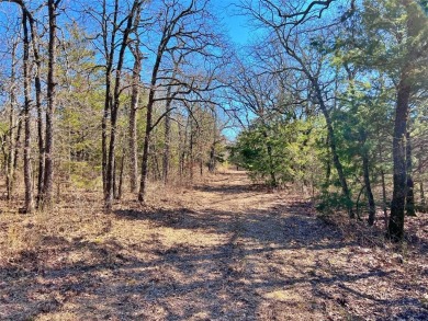 It is rare to find a small, heavily wooded property in the North on Turtle Hill Golf Course in Texas - for sale on GolfHomes.com, golf home, golf lot