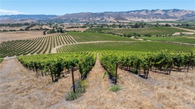 The prestigious 285 acre Jack Ranch is Edna Valley's legacy on San Luis Obispo Golf and Country Club in California - for sale on GolfHomes.com, golf home, golf lot