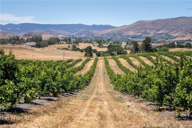 The prestigious 285 acre Jack Ranch is Edna Valley's legacy on San Luis Obispo Golf and Country Club in California - for sale on GolfHomes.com, golf home, golf lot