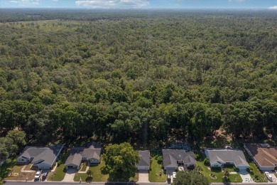 Charming 2-Bedroom Home in the Sought-After 55+ Spruce Creek on Preserve Golf Club in Florida - for sale on GolfHomes.com, golf home, golf lot