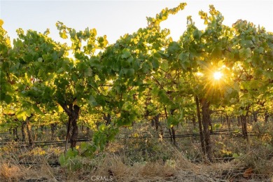 The prestigious 285 acre Jack Ranch is Edna Valley's legacy on San Luis Obispo Golf and Country Club in California - for sale on GolfHomes.com, golf home, golf lot