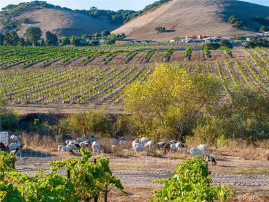 The prestigious 285 acre Jack Ranch is Edna Valley's legacy on San Luis Obispo Golf and Country Club in California - for sale on GolfHomes.com, golf home, golf lot