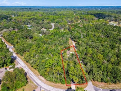 Tucked away on a VERY INTIMATE and ISOLATED.55-acre corner lot on Citrus Springs Country Club in Florida - for sale on GolfHomes.com, golf home, golf lot