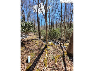 Great building lot of almost half an acre next to a small creek on Beech Mountain Club in North Carolina - for sale on GolfHomes.com, golf home, golf lot