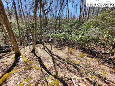 Great building lot of almost half an acre next to a small creek on Beech Mountain Club in North Carolina - for sale on GolfHomes.com, golf home, golf lot