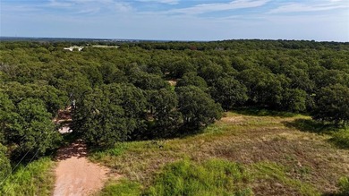 Discover an unparalleled opportunity to own 22.5 acres within on Nocona Hills Golf Course in Texas - for sale on GolfHomes.com, golf home, golf lot