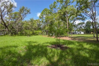 ABSOLUTELY BEAUTIFUL BRAND NEW 4 -bedroom, 2.5-bathroom home on Southern Woods Golf Club in Florida - for sale on GolfHomes.com, golf home, golf lot