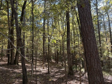 Beautiful sloping residential lot in the Southwind section of on Monticello Golf Club At Savannah Lakes in South Carolina - for sale on GolfHomes.com, golf home, golf lot