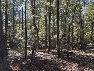 Beautiful sloping residential lot in the Southwind section of on Monticello Golf Club At Savannah Lakes in South Carolina - for sale on GolfHomes.com, golf home, golf lot