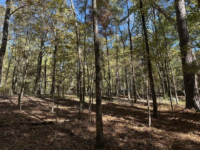 Beautiful sloping residential lot in the Southwind section of on Monticello Golf Club At Savannah Lakes in South Carolina - for sale on GolfHomes.com, golf home, golf lot