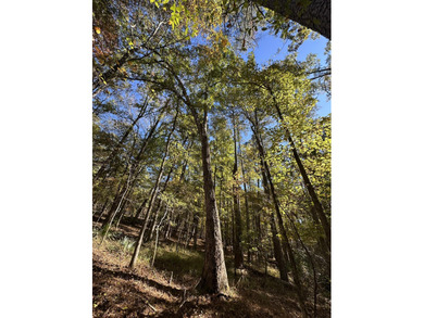 Beautiful sloping residential lot in the Southwind section of on Monticello Golf Club At Savannah Lakes in South Carolina - for sale on GolfHomes.com, golf home, golf lot