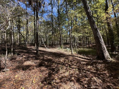 Beautiful sloping residential lot in the Southwind section of on Monticello Golf Club At Savannah Lakes in South Carolina - for sale on GolfHomes.com, golf home, golf lot