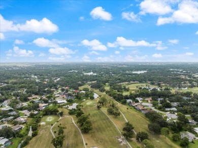 Under contract-accepting backup offers. Discover the lifestyle on Bent Tree Country Club in Florida - for sale on GolfHomes.com, golf home, golf lot