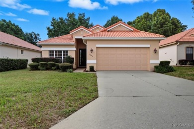 2/2/2 TERRA VISTA HOME w/ BONUS ROOM! This beautiful villa is on Skyview At Terra Vista Golf and Country Club in Florida - for sale on GolfHomes.com, golf home, golf lot