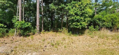 Large beautiful lot to build your dream home or build 2 homes on Diamondhead Country Club in Mississippi - for sale on GolfHomes.com, golf home, golf lot