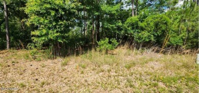 Large beautiful lot to build your dream home or build 2 homes on Diamondhead Country Club in Mississippi - for sale on GolfHomes.com, golf home, golf lot