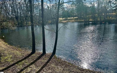 Beautifully renovated, waterfront and maintenance free living on Holly Tree Country Club in South Carolina - for sale on GolfHomes.com, golf home, golf lot