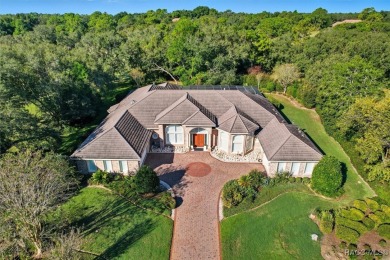 Turn-Key and a Golfer's Dream! Experience luxury living at its on Black Diamond Ranch Golf Course in Florida - for sale on GolfHomes.com, golf home, golf lot