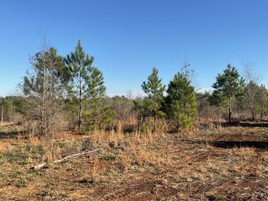 This is a developers dream! Large land tract of approximately 73 on Milledgeville Country Club in Georgia - for sale on GolfHomes.com, golf home, golf lot