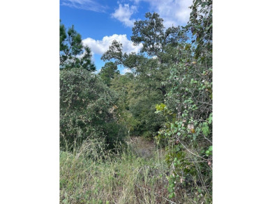 Nestled within the serene beauty of Tahitian Village, this on Pine Forest Golf Club in Texas - for sale on GolfHomes.com, golf home, golf lot