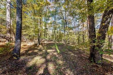 6 Acres located down a short easement rd. & right around the on Indian Hills Country Club in Arkansas - for sale on GolfHomes.com, golf home, golf lot