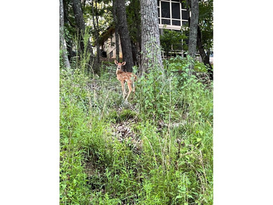 Get your piece of the mountains! This 1.21 acre lot is located on Bent Tree Golf Course in Georgia - for sale on GolfHomes.com, golf home, golf lot