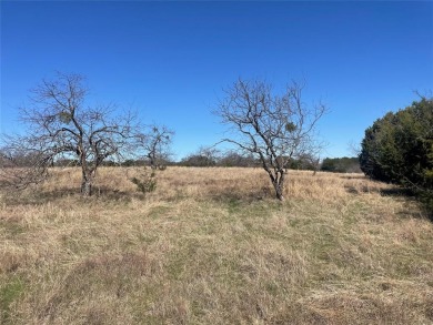 Beautiful oversized lot in White Bluff. This amazing lot is on White Bluff Resort - Old Course in Texas - for sale on GolfHomes.com, golf home, golf lot