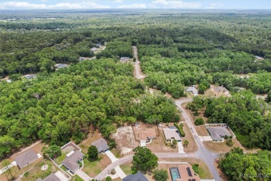 Welcome to this beautifully maintained 2024-built 3-bedroom on Citrus Springs Country Club in Florida - for sale on GolfHomes.com, golf home, golf lot