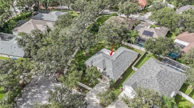 Welcome to Hunters Green, one of Tampa's premier golf course on Hunters Green Country Club in Florida - for sale on GolfHomes.com, golf home, golf lot
