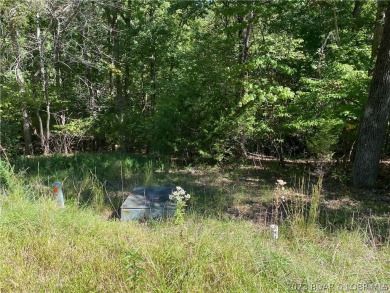 Don't miss your Opportunity to come view this Very Gentle wooded on The Club At Porto Cima in Missouri - for sale on GolfHomes.com, golf home, golf lot