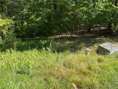 Don't miss your Opportunity to come view this Very Gentle wooded on The Club At Porto Cima in Missouri - for sale on GolfHomes.com, golf home, golf lot