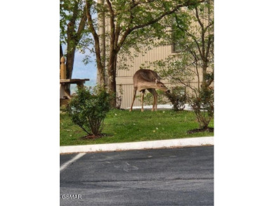 This fully updated 2 bedroom 1 bathroom condo with STUNNING on Bent Creek Golf Course in Tennessee - for sale on GolfHomes.com, golf home, golf lot