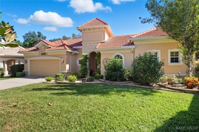 Welcome to your modern courtyard sanctuary nestled in the heart on Skyview At Terra Vista Golf and Country Club in Florida - for sale on GolfHomes.com, golf home, golf lot