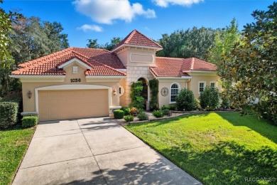Welcome to your modern courtyard sanctuary nestled in the heart on Skyview At Terra Vista Golf and Country Club in Florida - for sale on GolfHomes.com, golf home, golf lot