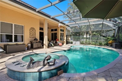Welcome to your modern courtyard sanctuary nestled in the heart on Skyview At Terra Vista Golf and Country Club in Florida - for sale on GolfHomes.com, golf home, golf lot