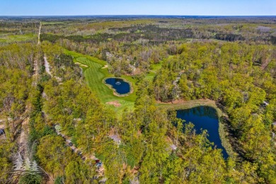 Tucked along the fairways of Garland's Fountains Course, 829 on Garland Resort and Golf Club  in Michigan - for sale on GolfHomes.com, golf home, golf lot