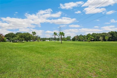 Experience resort-style living in this beautiful home nestled on Silverado Golf and Country Club in Florida - for sale on GolfHomes.com, golf home, golf lot