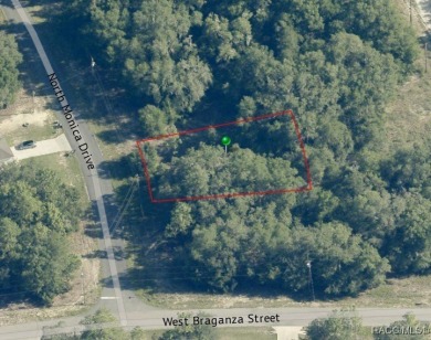 Buildable lot in Citrus Springs offering an excellent on Pine Ridge Community Golf and Country Club in Florida - for sale on GolfHomes.com, golf home, golf lot