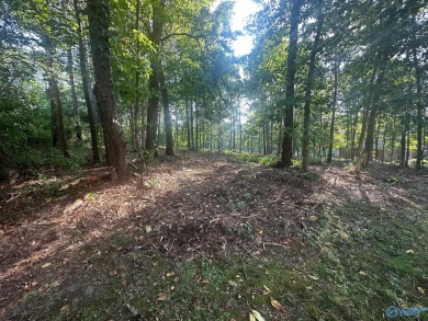 Golf course lot perfectly positioned along the 12th fairway of on Cherokee Ridge Country Club in Alabama - for sale on GolfHomes.com, golf home, golf lot