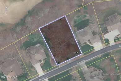 This is a premium Golf Front lot overlooking the 17th green on on Tanasi Golf Course in Tennessee - for sale on GolfHomes.com, golf home, golf lot