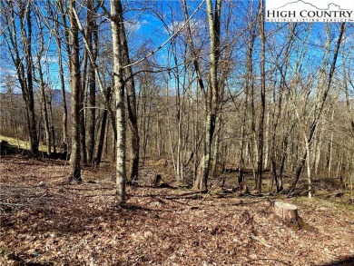 Easy buildable lot nestled in the heart of Sugar Mountain. With on Sugar Mountain Golf Course in North Carolina - for sale on GolfHomes.com, golf home, golf lot